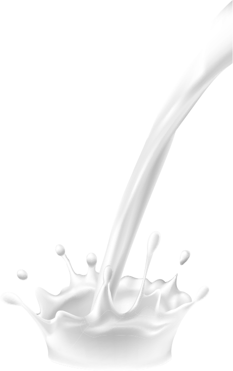 日本橋 メンズエステ ミルキーハウス